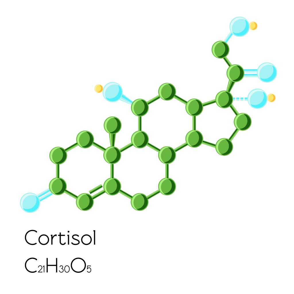 Hormônio Cortisol